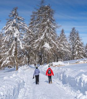 Two people on a winter hike