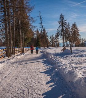 Zwei Personen machen eine Winterwanderung