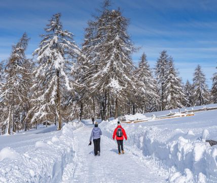Two people on a winter hike