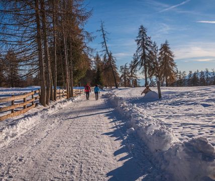 Two people on a winter hike