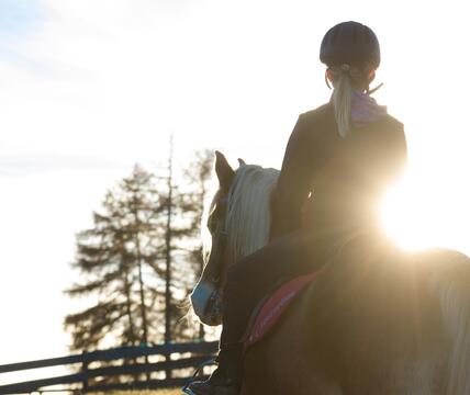 reiten-salten-sommer-6-tv-jenesien
