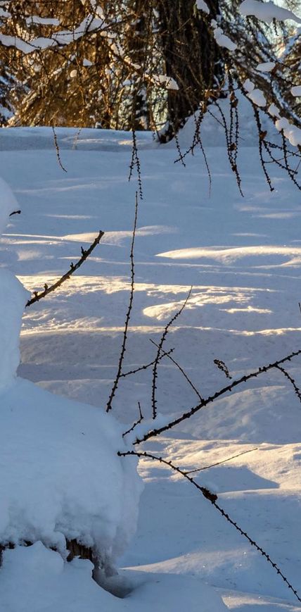 winter-familienaktivitaeten-salten-2-tv-jenesien-michael-guggenberg