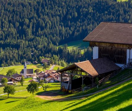 View on Flaas