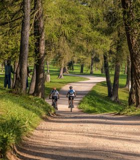 Two people on a bike tour through a forest