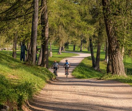 Zwei Personen auf einer Radtour durch den Wald