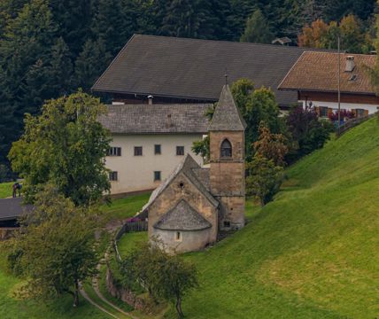 Nobls im Sommer