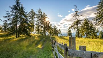 Sonnenuntergang über einer Alm mit Waldweg, Holzzaun und Lärchen im Sommerlicht.