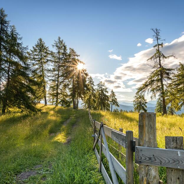 Sonnenuntergang über einer Alm mit Waldweg, Holzzaun und Lärchen im Sommerlicht.