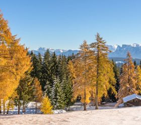 salten-winter-9999-tv-jenesien-michael-guggenberg