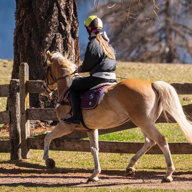 Ein Kind reitet auf einem Haflinger Pferd