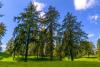 salten-gallerie-14