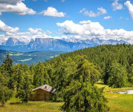 Der Salten und die Berge im Sommer