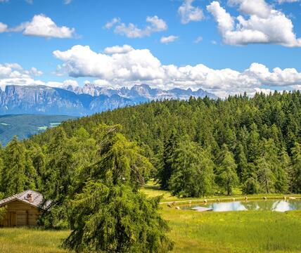 The Salten and the mountains in summer