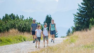 A family hiking on a sunny forest trail with mountain views in the background.