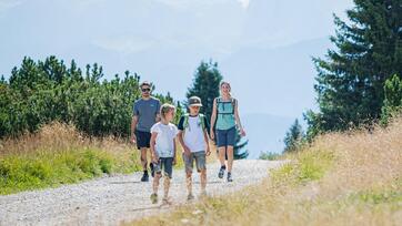 A family hiking on a sunny forest trail with mountain views in the background.