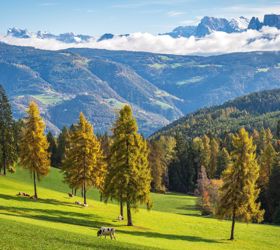 salten-herbst-2-tv-jenesien-michael-guggenberg