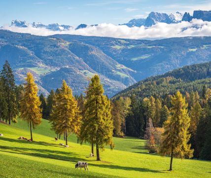 salten-herbst-2-tv-jenesien-michael-guggenberg