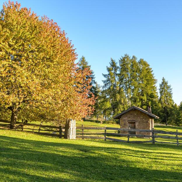 salten-herbst-1-tv-jenesien-michael-guggenberg