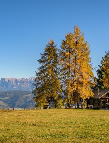salten-herbst-5-tv-jenesien-michael-guggenberg