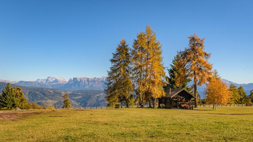 salten-herbst-5-tv-jenesien-michael-guggenberg