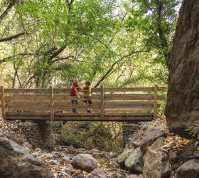Two children standing on a wooden bridge over a small stream covered with autumn leaves in the forest.