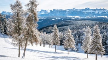 salten-winter-tv-jenesien-michael-guggenberg