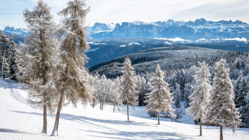 salten-winter-tv-jenesien-michael-guggenberg