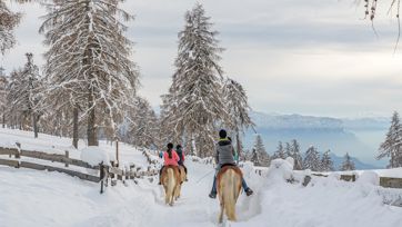 reiten-salten-winter-2-tv-jenesien-michael-guggenberg