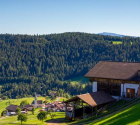 Flaas im Sommer
