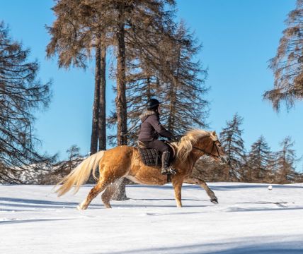 reiten-salten-winter-4-tv-jenesien-michael-guggenberg