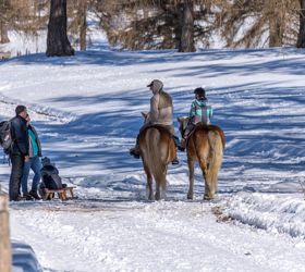 familien-und-reiten-salten-winter-1-tv-jenesien-michael-guggenberg