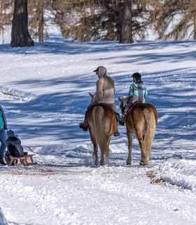 familien-und-reiten-salten-winter-1-tv-jenesien-michael-guggenberg