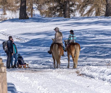 familien-und-reiten-salten-winter-1-tv-jenesien-michael-guggenberg