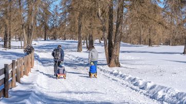 wandern-und-rodeln-winter-salten-1-tv-jenesien-michael-guggenberg