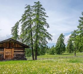 Wooden alpine hut on a blooming mountain meadow, surrounded by larch trees and mountains in the background.