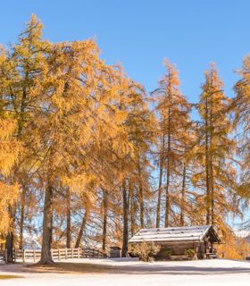 salten-winter-999-tv-jenesien-michael-guggenberg