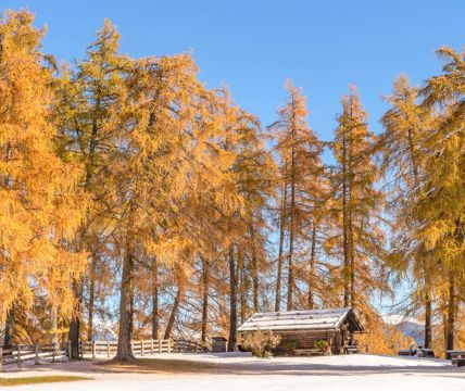 salten-winter-999-tv-jenesien-michael-guggenberg