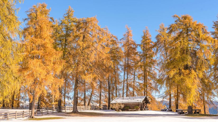 salten-winter-999-tv-jenesien-michael-guggenberg