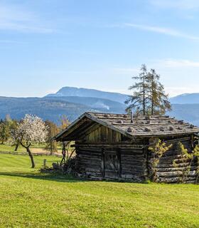 salten-fruehling-1-tv-jenesien-michael-guggenberg