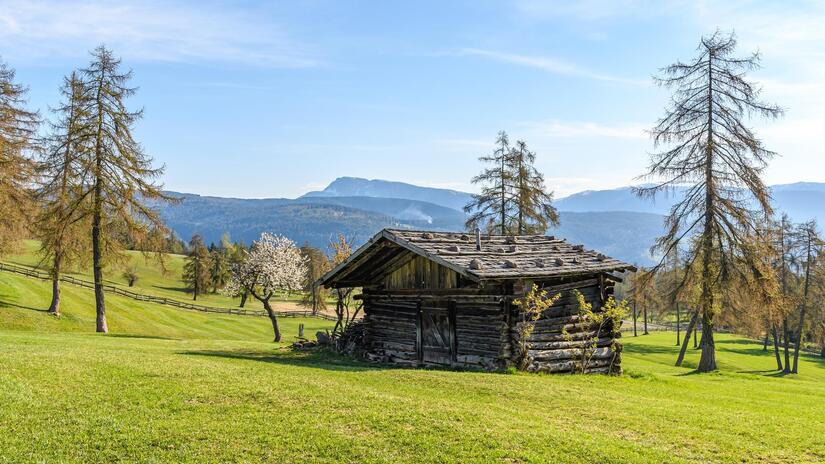 salten-fruehling-1-tv-jenesien-michael-guggenberg