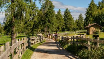 Eine Gruppe auf einem Ausritt