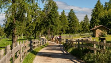 Eine Gruppe auf einem Ausritt