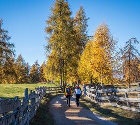Two people are hiking in the autumn